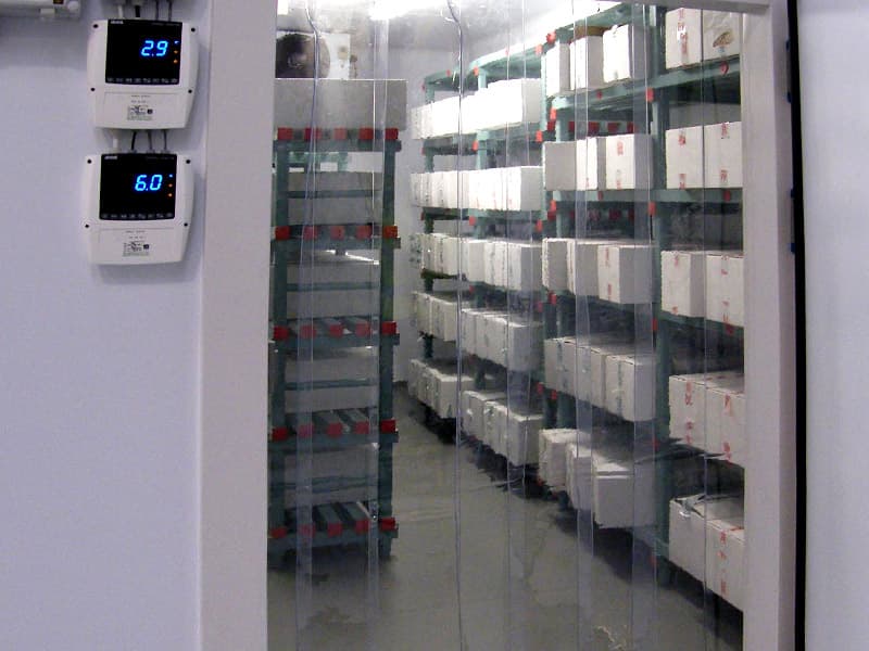 Was ist bei Ausfallproblemen von Kühlraumsystemen zu tun?