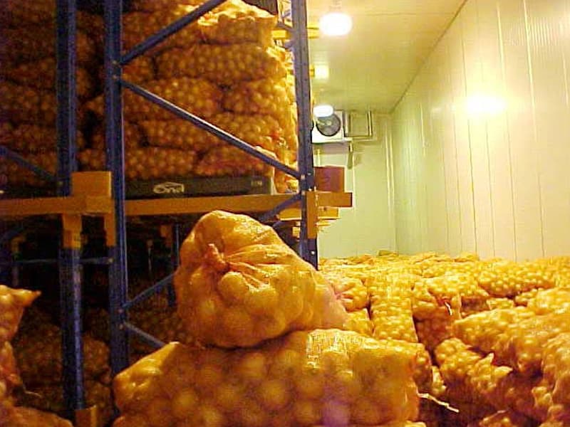 Onion Storage Through Cold Rooms