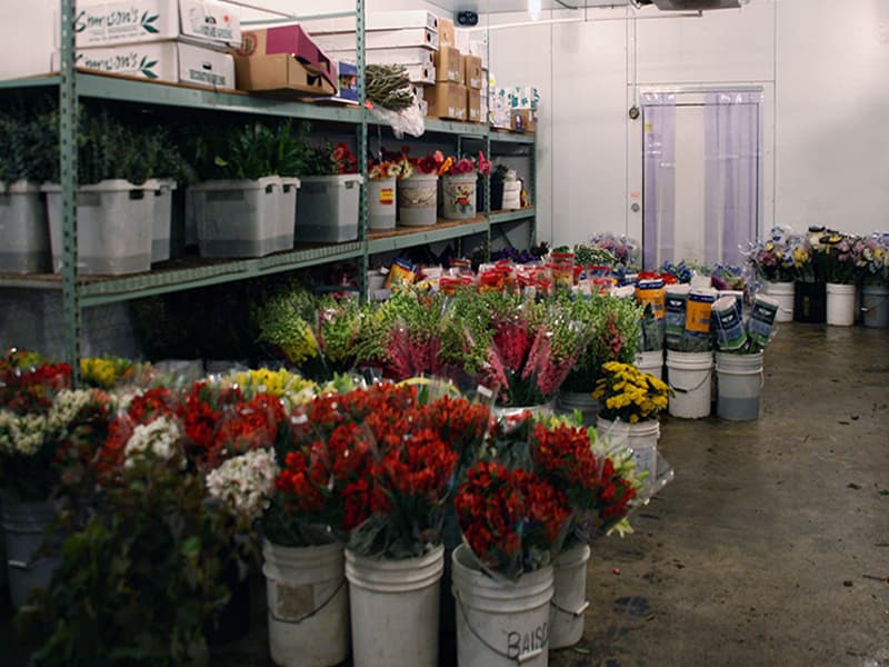 Chambre froide pour fleurs et graines